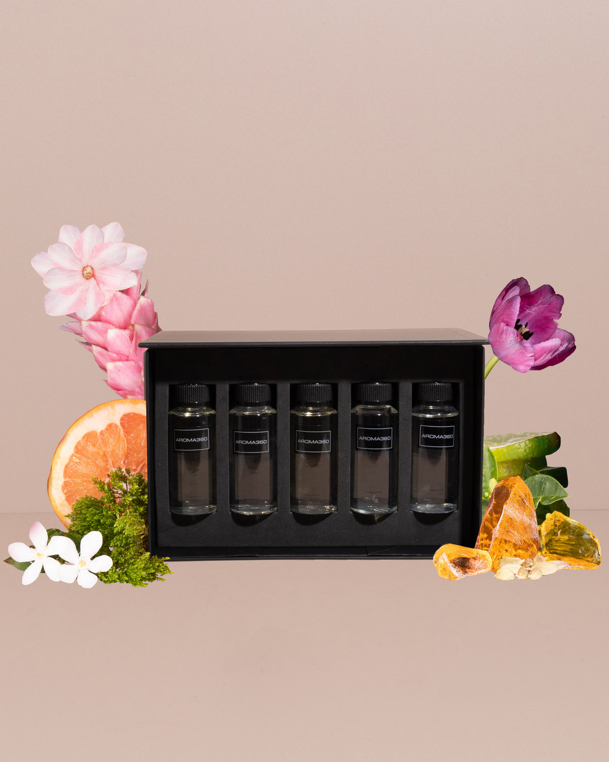 Spring Collection Discovery Set